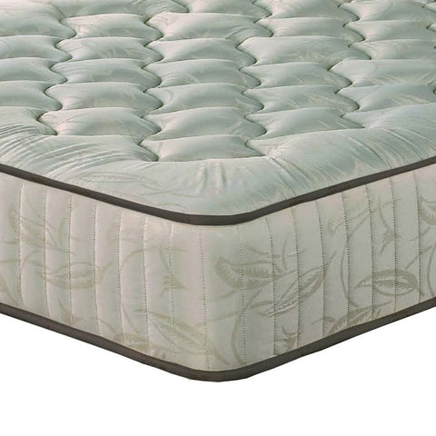 Bedz by Duke Brothers Mattresses Luxury Premium Sutton Orthopaedic with Quilted Border Firm Mattress
